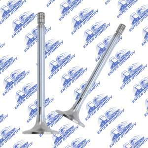 02596 Mercedes Benz 2521 Series Intake Valve 3660501226