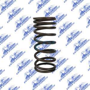 00954 MAN 19 Series Valve Spring 51041020081